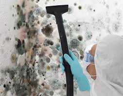 Best Residential Mold Inspection & Testing  in Parma, OH